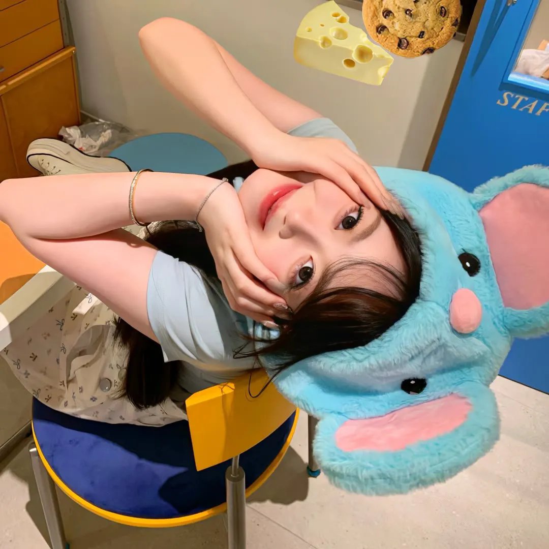 蓝色项圈